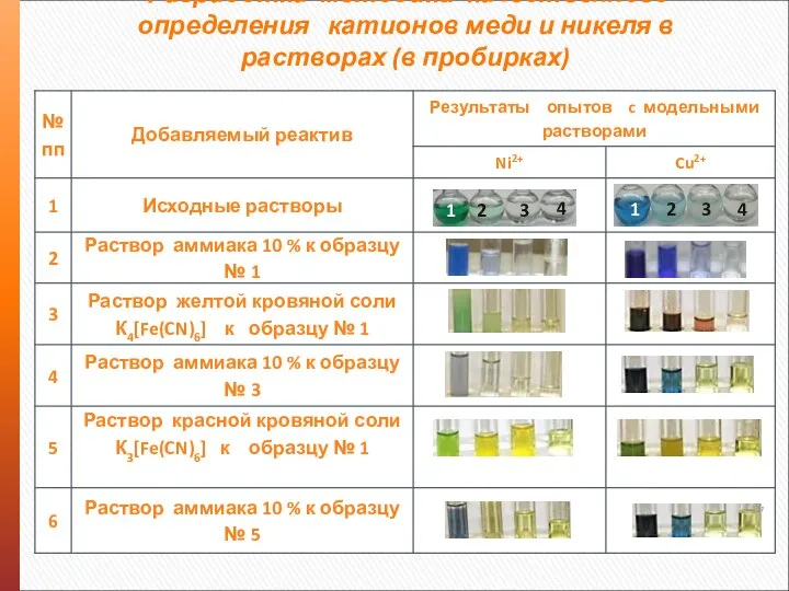 Разработка методики качественного определения катионов меди и никеля в растворах (в пробирках)