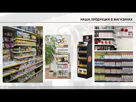 НАША ПРОДУКЦИЯ В МАГАЗИНАХ