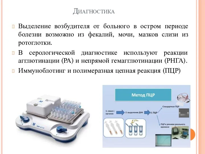 Диагностика Выделение возбудителя от больного в остром периоде болезни возможно из фекалий,