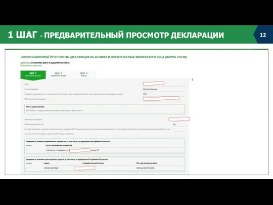 1 ШАГ - ПРЕДВАРИТЕЛЬНЫЙ ПРОСМОТР ДЕКЛАРАЦИИ