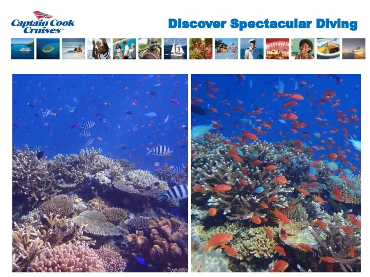 Discover Spectacular Diving