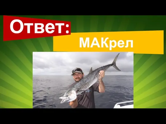 Ответ: МАКрель