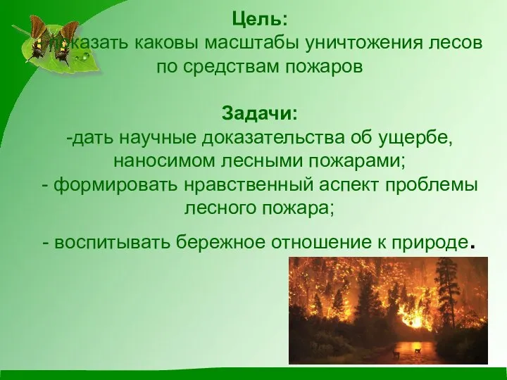 Цель: - показать каковы масштабы уничтожения лесов по средствам пожаров Задачи: -дать