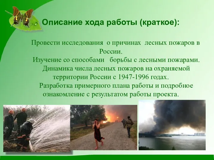 Описание хода работы (краткое): Провести исследования о причинах лесных пожаров в России.