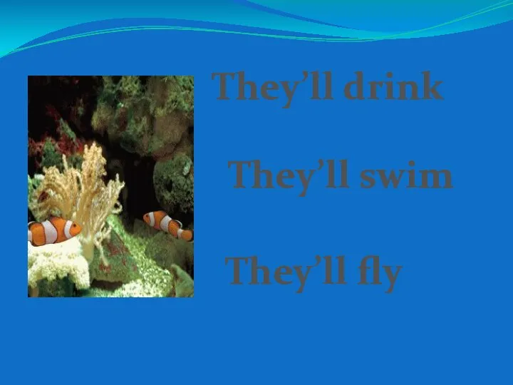 They’ll drink They’ll fly They’ll swim