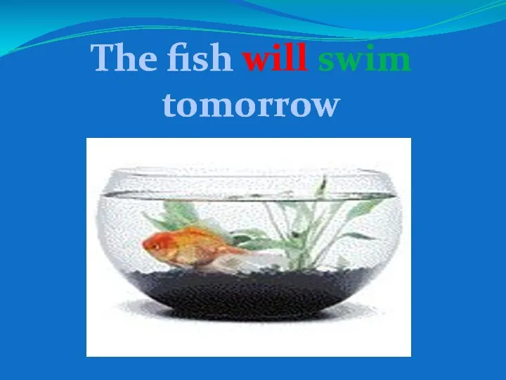 The fish will swim tomorrow