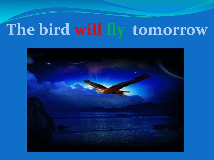 The bird will fly tomorrow