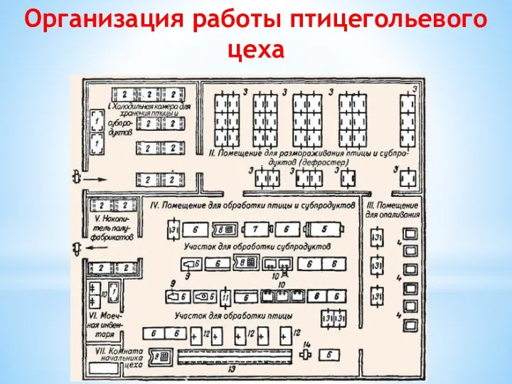 Организация работы птицегольевого цеха