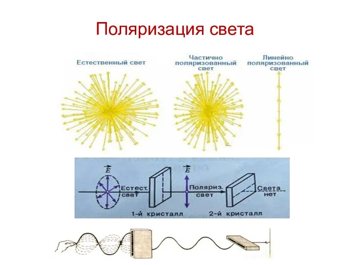 Поляризация света