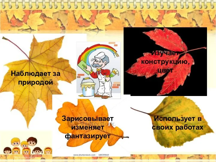 Наблюдает за природой Изучает конструкцию, цвет Использует в своих работах Зарисовывает изменяет фантазирует