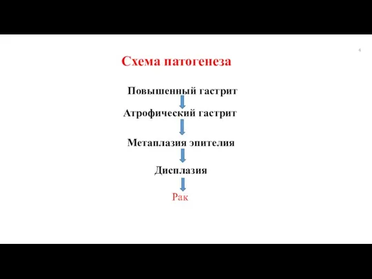 Схема патогенеза Повышенный гастрит Дисплазия Метаплазия эпителия Атрофический гастрит Рак