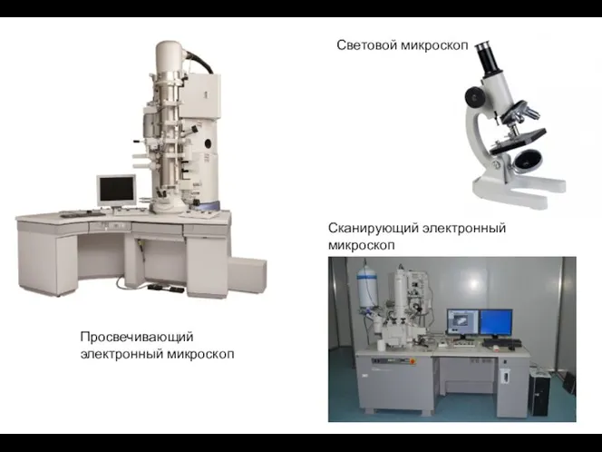 Просвечивающий электронный микроскоп Сканирующий электронный микроскоп Световой микроскоп