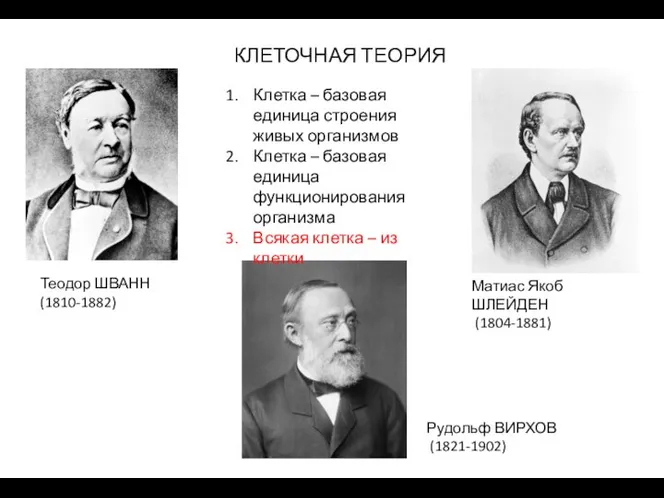 Теодор ШВАНН (1810-1882) Матиас Якоб ШЛЕЙДЕН (1804-1881) Рудольф ВИРХОВ (1821-1902) Клетка –