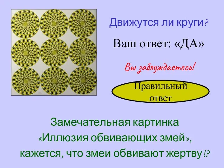 Движутся ли круги? Ваш ответ: «ДА» Замечательная картинка «Иллюзия обвивающих змей», кажется,