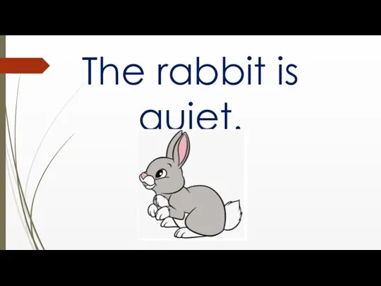 The rabbit is quiet.