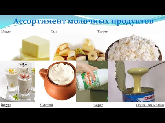 Ассортимент молочных продуктов Масло Сыр Творог Йогурт Сметана Кефир Сгущенное молоко