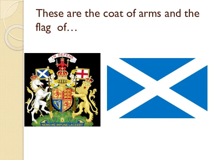 These are the coat of arms and the flag of…