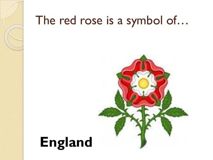 The red rose is a symbol of… England