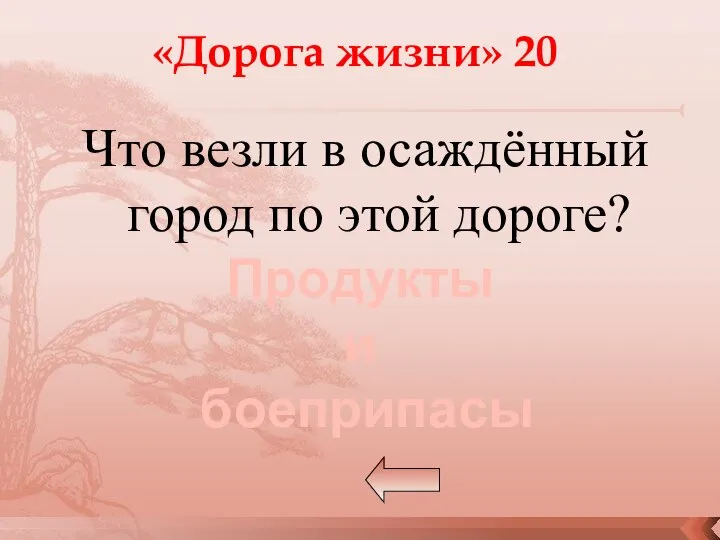 Что везли в осаждённый город по этой дороге? «Дорога жизни» 20 Продукты и боеприпасы