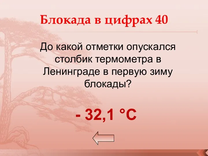 Блокада в цифрах 40 До какой отметки опускался столбик термометра в Ленинграде