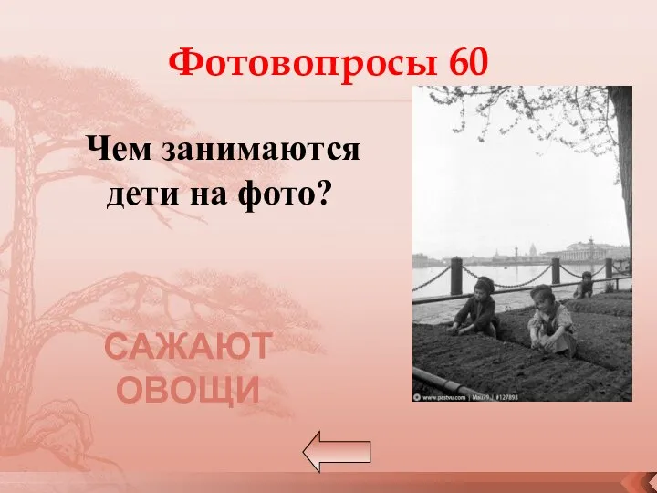 Фотовопросы 60 Чем занимаются дети на фото? САЖАЮТ ОВОЩИ