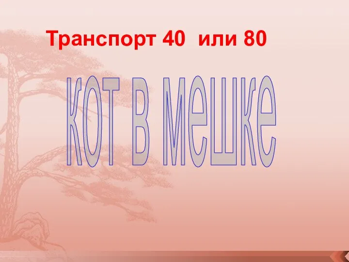 кот в мешке Транспорт 40 или 80