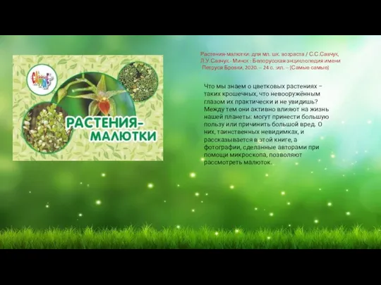 Что мы знаем о цветковых растениях − таких крошечных, что невооружённым глазом