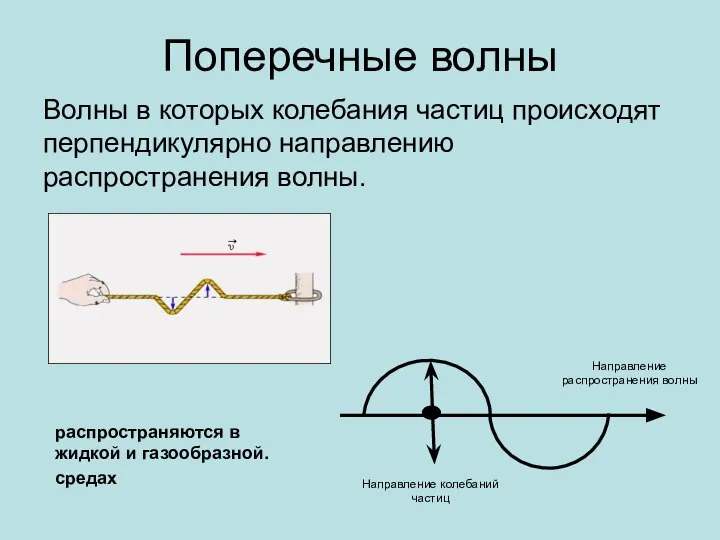 Поперечные волны Волны в которых колебания частиц происходят перпендикулярно направлению распространения волны.