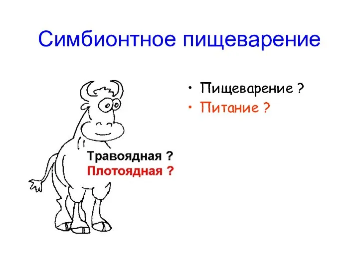 Симбионтное пищеварение Пищеварение ? Питание ?