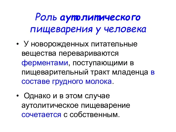 Роль аутолитического пищеварения у человека У новорожденных питательные вещества перевариваются ферментами, поступающими