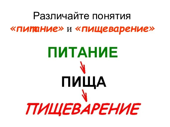 Различайте понятия «питание» и «пищеварение»