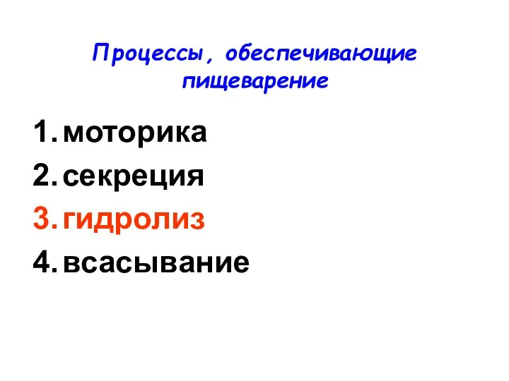 Процессы, обеспечивающие пищеварение моторика секреция гидролиз всасывание