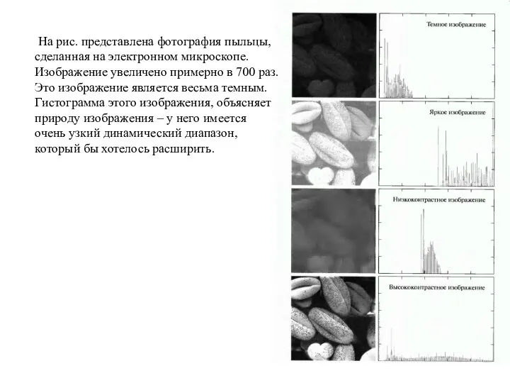 На рис. представлена фотография пыльцы, сделанная на электронном микроскопе. Изображение увеличено примерно