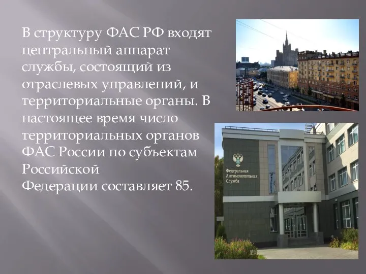 В структуру ФАС РФ входят центральный аппарат службы, состоящий из отраслевых управлений,