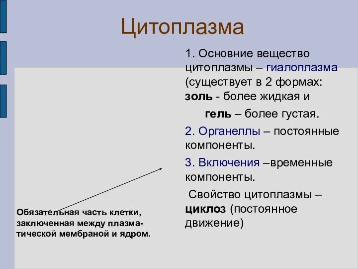 Цитоплазма 1. Основние вещество цитоплазмы – гиалоплазма (существует в 2 формах: золь