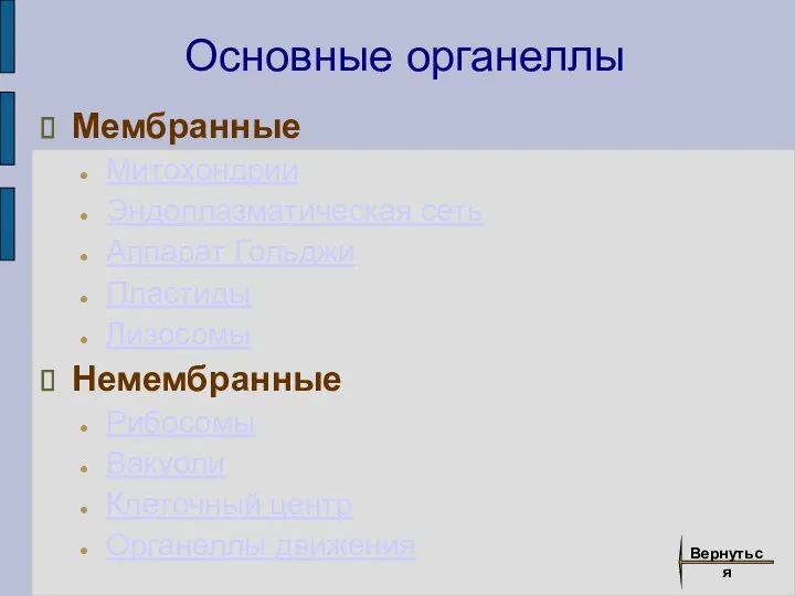 Основные органеллы Мембранные Митохондрии Эндоплазматическая сеть Аппарат Гольджи Пластиды Лизосомы Немембранные Рибосомы