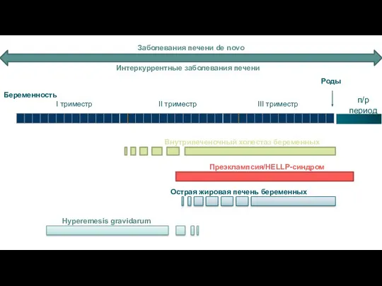 Беременность I триместр II триместр III триместр Заболевания печени de novo Интеркуррентные