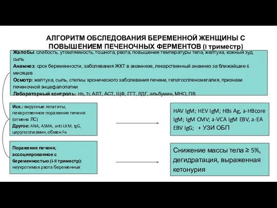 АЛГОРИТМ ОБСЛЕДОВАНИЯ БЕРЕМЕННОЙ ЖЕНЩИНЫ С ПОВЫШЕНИЕМ ПЕЧЕНОЧНЫХ ФЕРМЕНТОВ (I триместр) Жалобы: слабость,