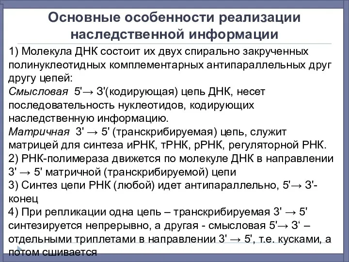 Основные особенности реализации наследственной информации 1) Молекула ДНК состоит их двух спирально