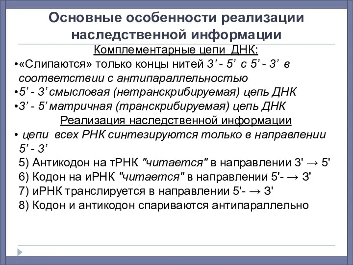 Основные особенности реализации наследственной информации Комплементарные цепи ДНК: «Слипаются» только концы нитей