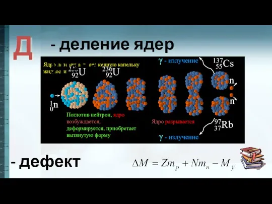 Поглотив нейтрон, ядро возбуждается, деформируется, приобретает вытянутую форму Ядро разрывается Ядро напоминает