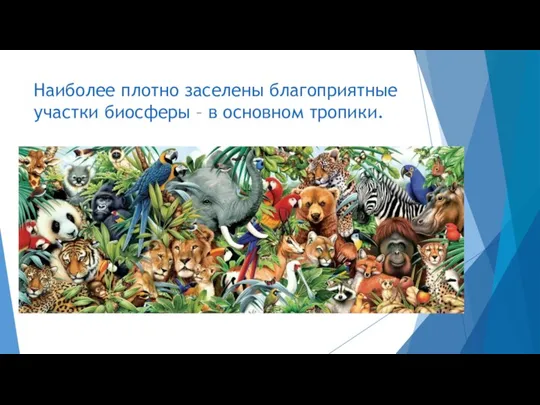 Наиболее плотно заселены благоприятные участки биосферы – в основном тропики.