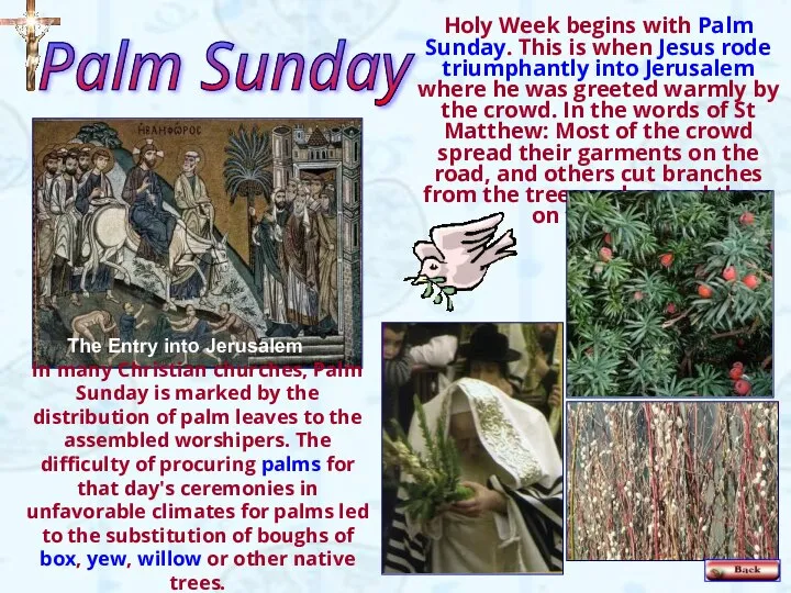 Holy Week begins with Palm Sunday. This is when Jesus rode triumphantly