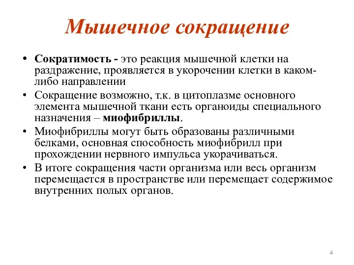 Мышечное сокращение Сократимость - это реакция мышечной клетки на раздражение, проявляется в