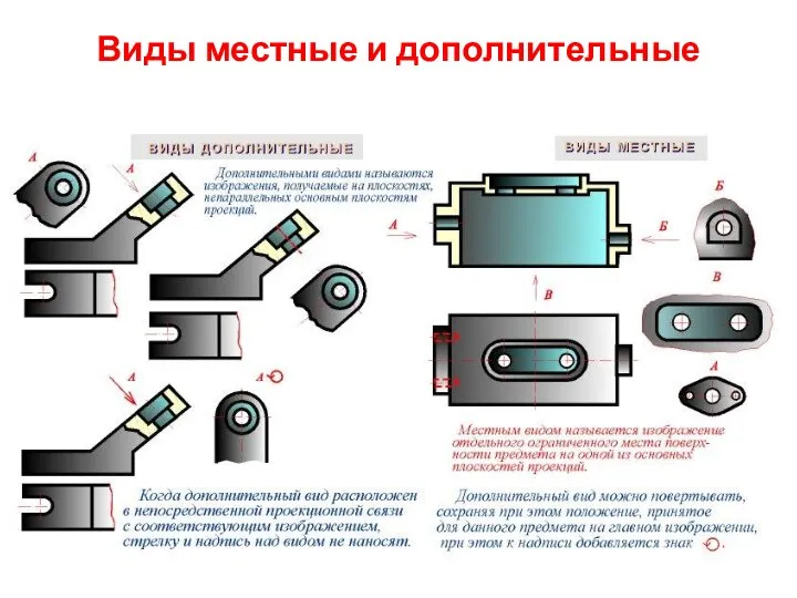 Виды местные и дополнительные