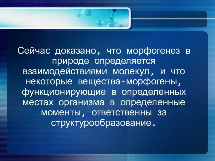 Сейчас доказано, что морфогенез в природе определяется взаимодействиями молекул, и что некоторые