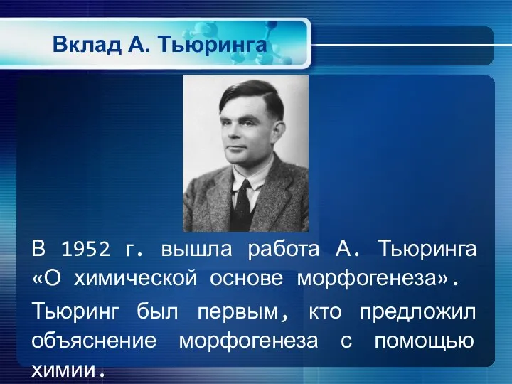 Вклад А. Тьюринга В 1952 г. вышла работа А. Тьюринга «О химической