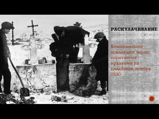 РАСКУЛАЧИВАНИЕ Комсомольцы извлекают зерно, спрятанное кулаками на кладбище, ноябрь 1930