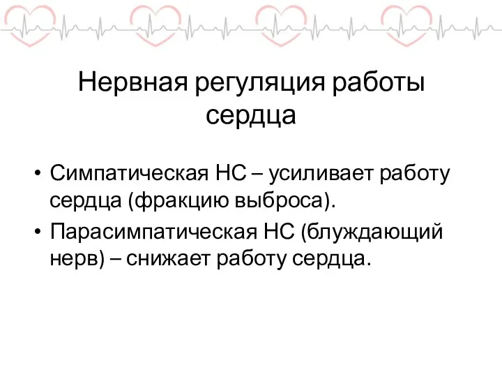 Нервная регуляция работы сердца Симпатическая НС – усиливает работу сердца (фракцию выброса).