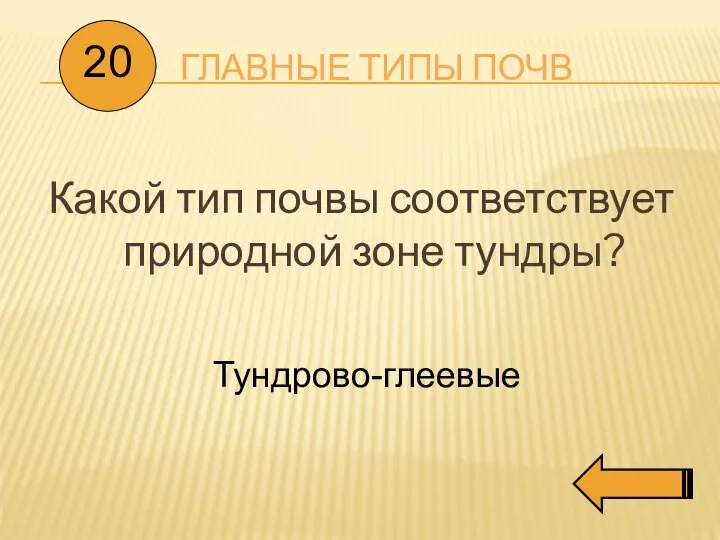 ГЛАВНЫЕ ТИПЫ ПОЧВ Какой тип почвы соответствует природной зоне тундры? 20 Тундрово-глеевые